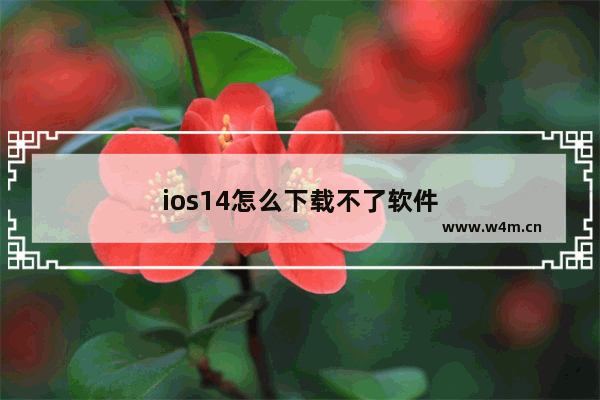 ios14怎么下载不了软件