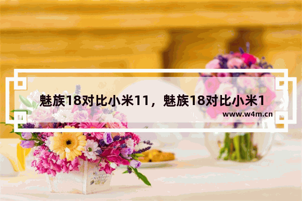 魅族18对比小米11，魅族18对比小米11参数