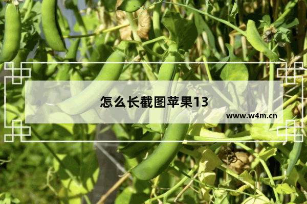 怎么长截图苹果13