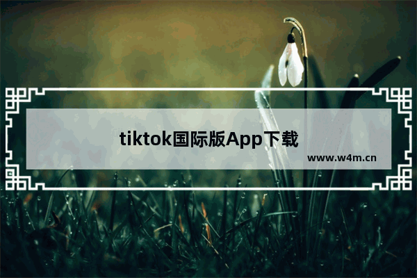 tiktok国际版App下载