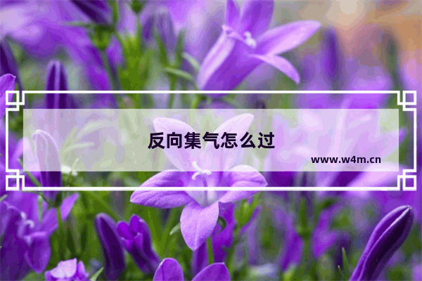 反向集气怎么过