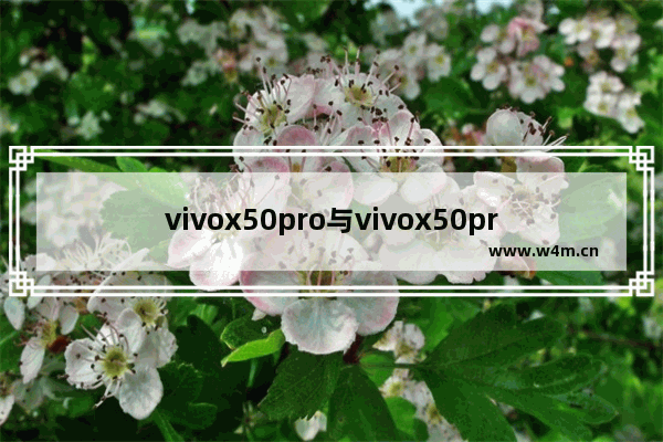 vivox50pro与vivox50pro+区别