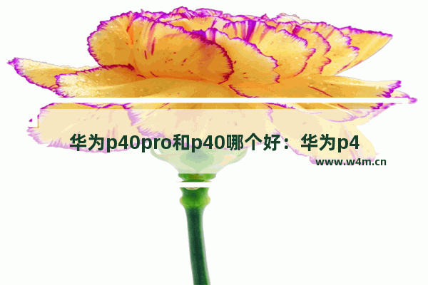 华为p40pro和p40哪个好：华为p40pro和p40哪个好用