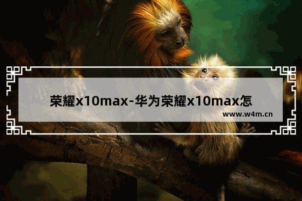 荣耀x10max-华为荣耀x10max怎么样截屏