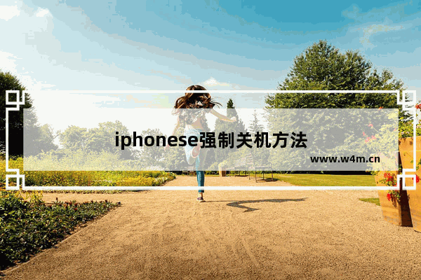 iphonese强制关机方法