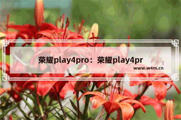 荣耀play4pro：荣耀play4pro和荣耀play5哪个好