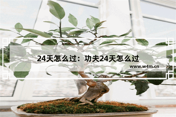 24天怎么过：功夫24天怎么过