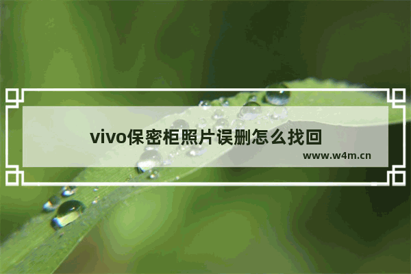 vivo保密柜照片误删怎么找回