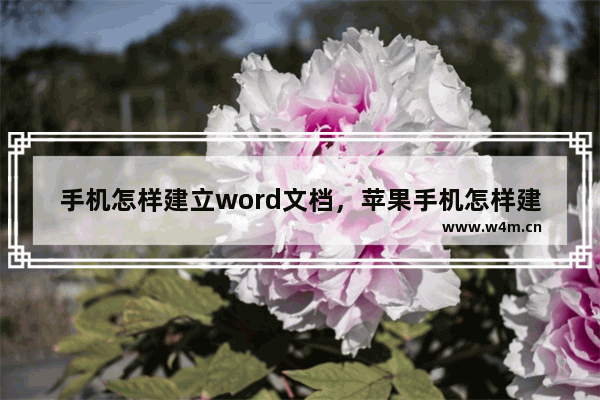 手机怎样建立word文档，苹果手机怎样建立word文档