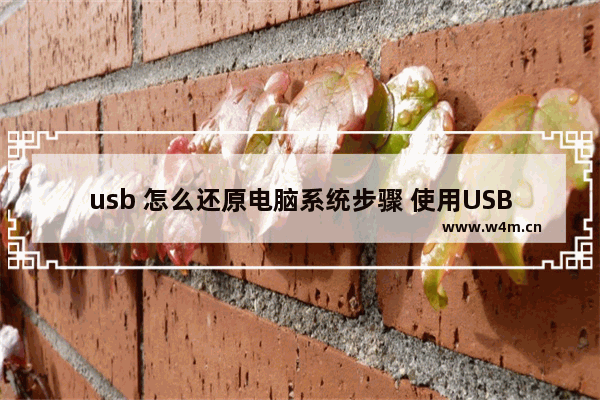 usb 怎么还原电脑系统步骤 使用USB进行电脑系统恢复的步骤