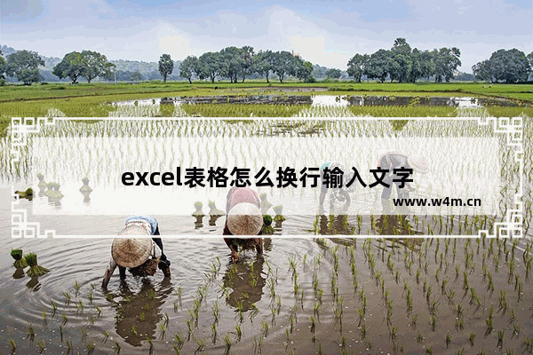 excel表格怎么换行输入文字