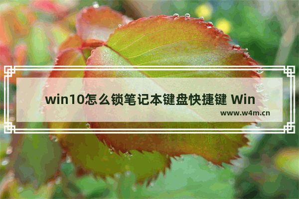 win10怎么锁笔记本键盘快捷键 Win10如何锁定笔记本键盘？