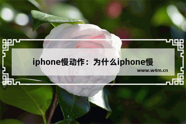 iphone慢动作：为什么iphone慢动作会一直闪