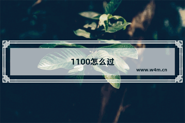 1100怎么过