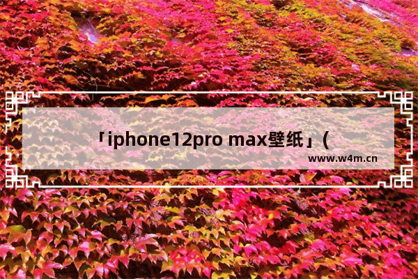 「iphone12pro max壁纸」(iphone12pro max壁纸怎么设置)