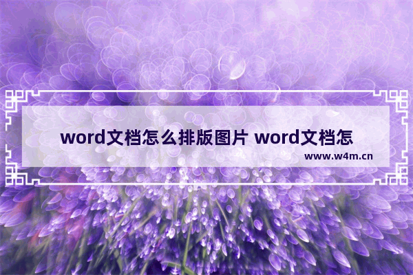 word文档怎么排版图片 word文档怎么排版图片和文字