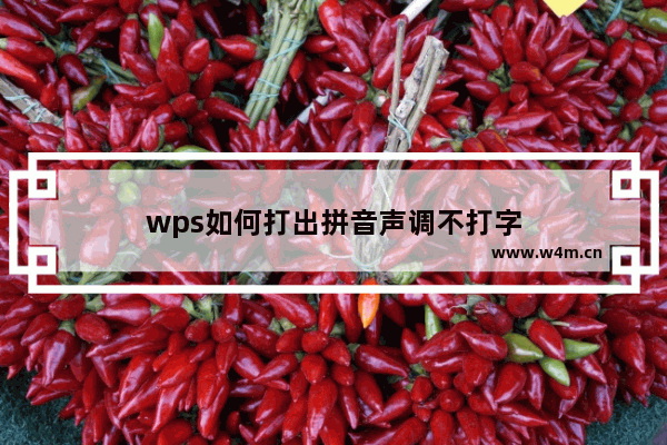 wps如何打出拼音声调不打字