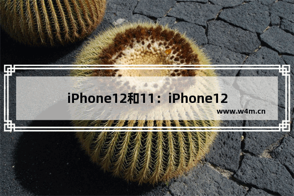 iPhone12和11：iPhone12和11Pro拍照