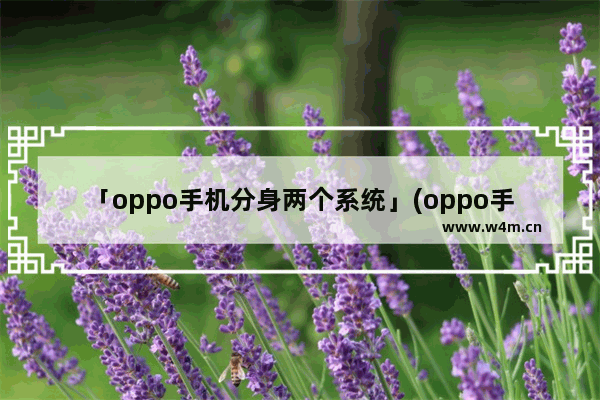 「oppo手机分身两个系统」(oppo手机分身两个系统怎么传软件)