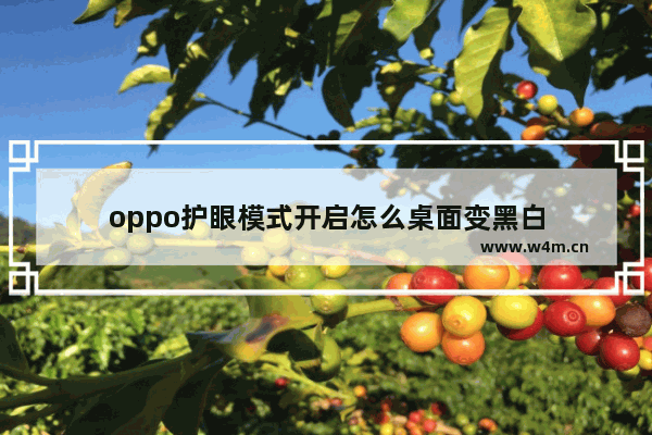 oppo护眼模式开启怎么桌面变黑白