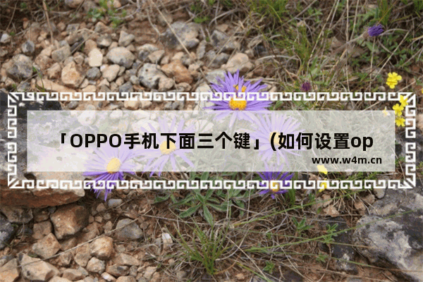 「OPPO手机下面三个键」(如何设置oppo手机下面三个键)