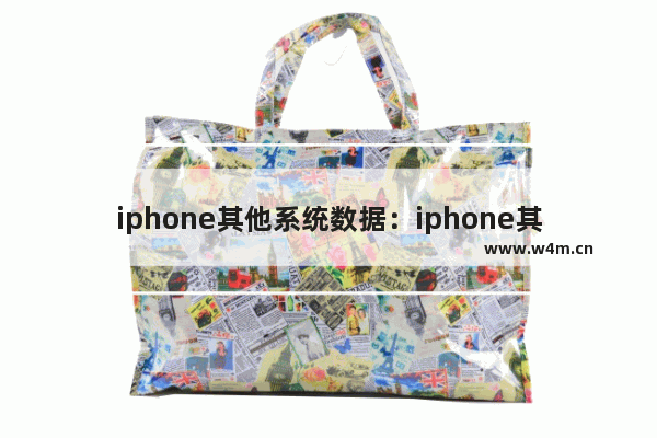 iphone其他系统数据：iphone其他系统数据巨大怎么解决