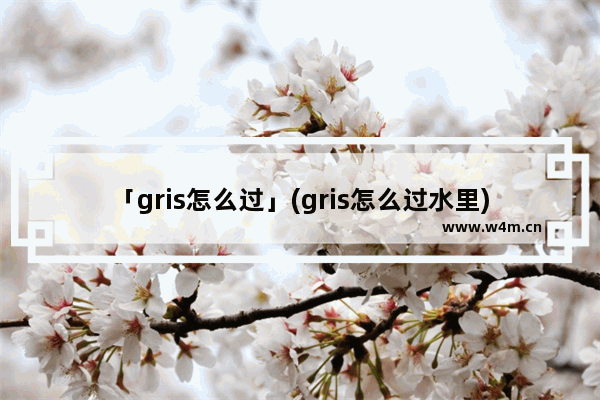 「gris怎么过」(gris怎么过水里)