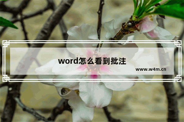 word怎么看到批注