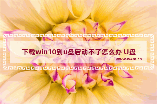 下载win10到u盘启动不了怎么办 U盘下载Win10无法启动怎么办