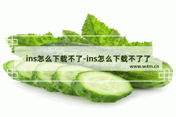 ins怎么下载不了-ins怎么下载不了了