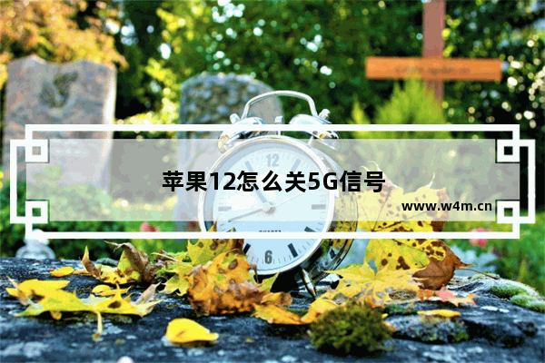 苹果12怎么关5G信号