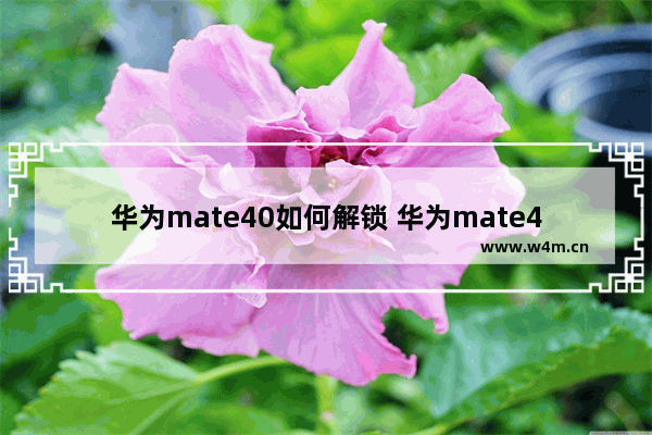 华为mate40如何解锁 华为mate40如何解锁谷歌