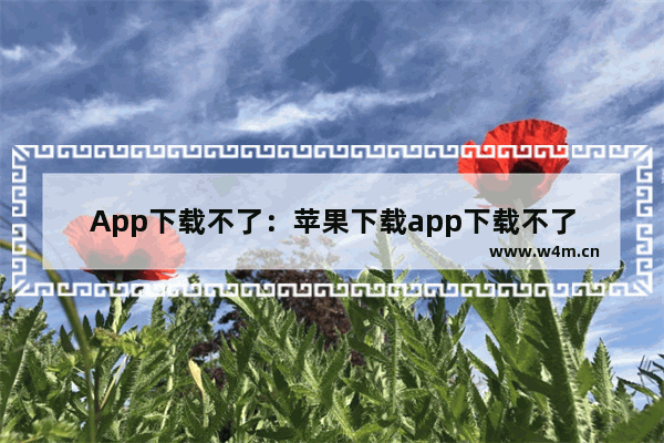 App下载不了：苹果下载app下载不了