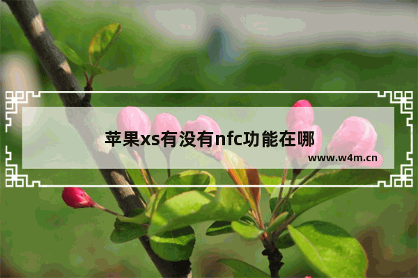 苹果xs有没有nfc功能在哪