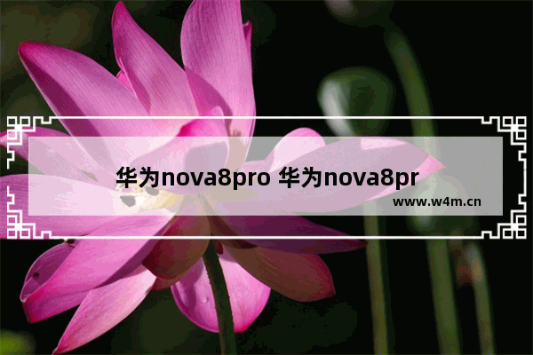 华为nova8pro 华为nova8pro屏幕刷新率变慢