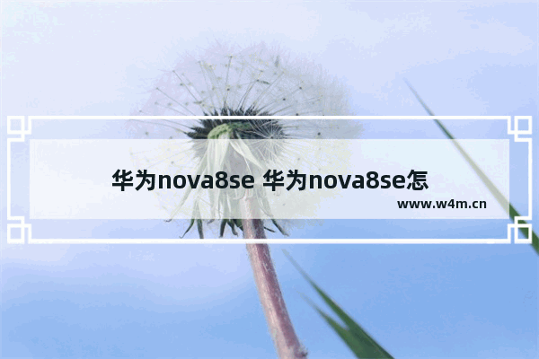 华为nova8se 华为nova8se怎样设置返回键