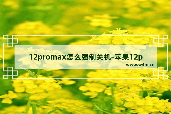 12promax怎么强制关机-苹果12promax怎么强制关机