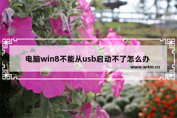 电脑win8不能从usb启动不了怎么办 win8电脑无法通过USB启动解决方案