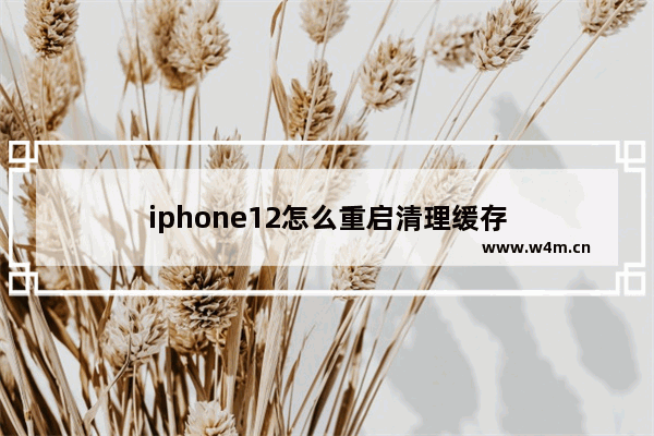 iphone12怎么重启清理缓存