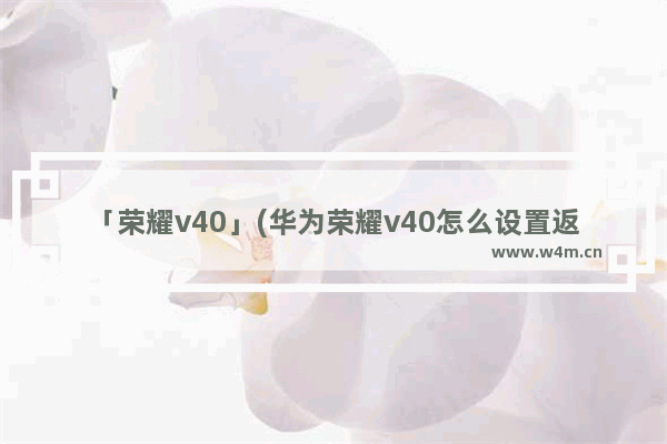 「荣耀v40」(华为荣耀v40怎么设置返回键)