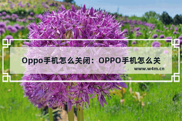 Oppo手机怎么关闭：OPPO手机怎么关闭推荐应用下载