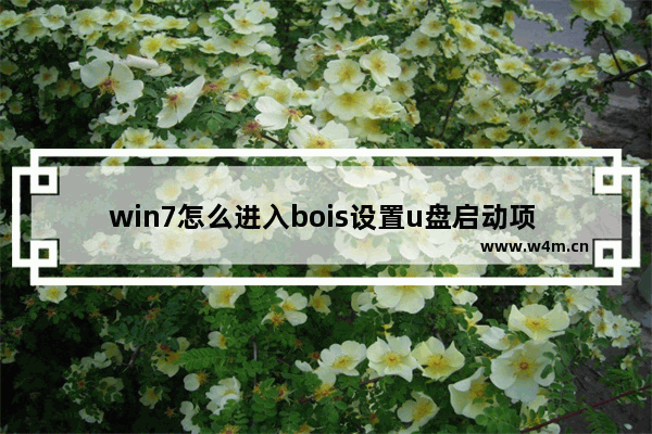 win7怎么进入bois设置u盘启动项 Win7如何设置U盘启动项进入BIOS