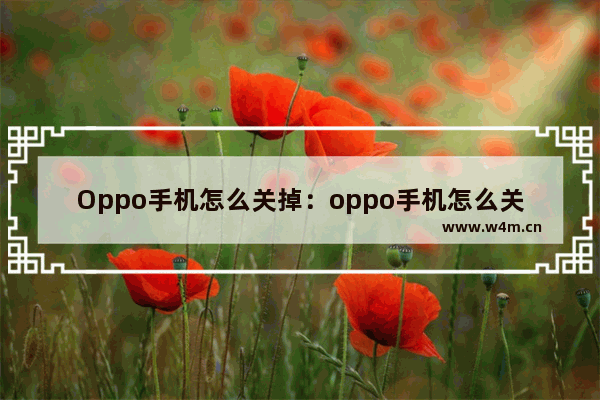 Oppo手机怎么关掉：oppo手机怎么关掉自动更新