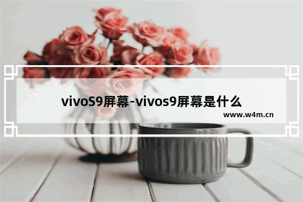 vivoS9屏幕-vivos9屏幕是什么屏