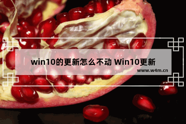 win10的更新怎么不动 Win10更新不动怎么办