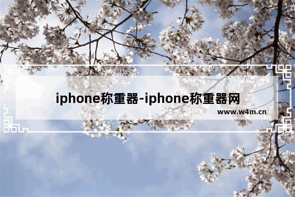 iphone称重器-iphone称重器网站