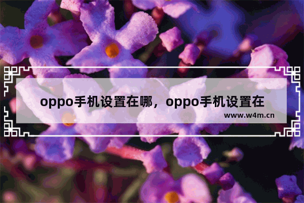 oppo手机设置在哪，oppo手机设置在哪里关机