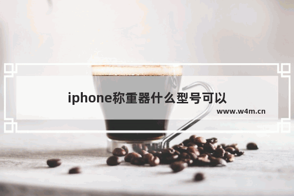 iphone称重器什么型号可以