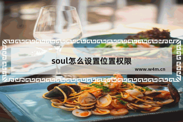 soul怎么设置位置权限