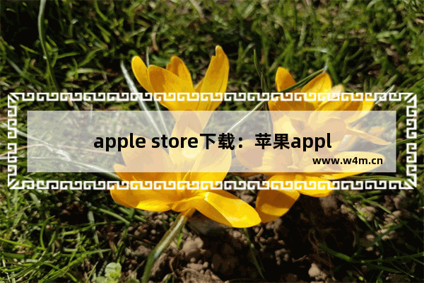 apple store下载：苹果apple store下载软件